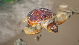 热门<em>游戏</em>盘点:水下橄榄球模拟器掀起肺活量比拼热潮